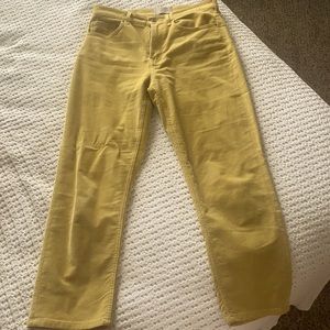 Everlane Baby Cord Cheeky